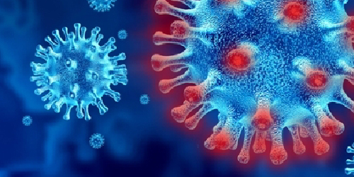 coronavirus